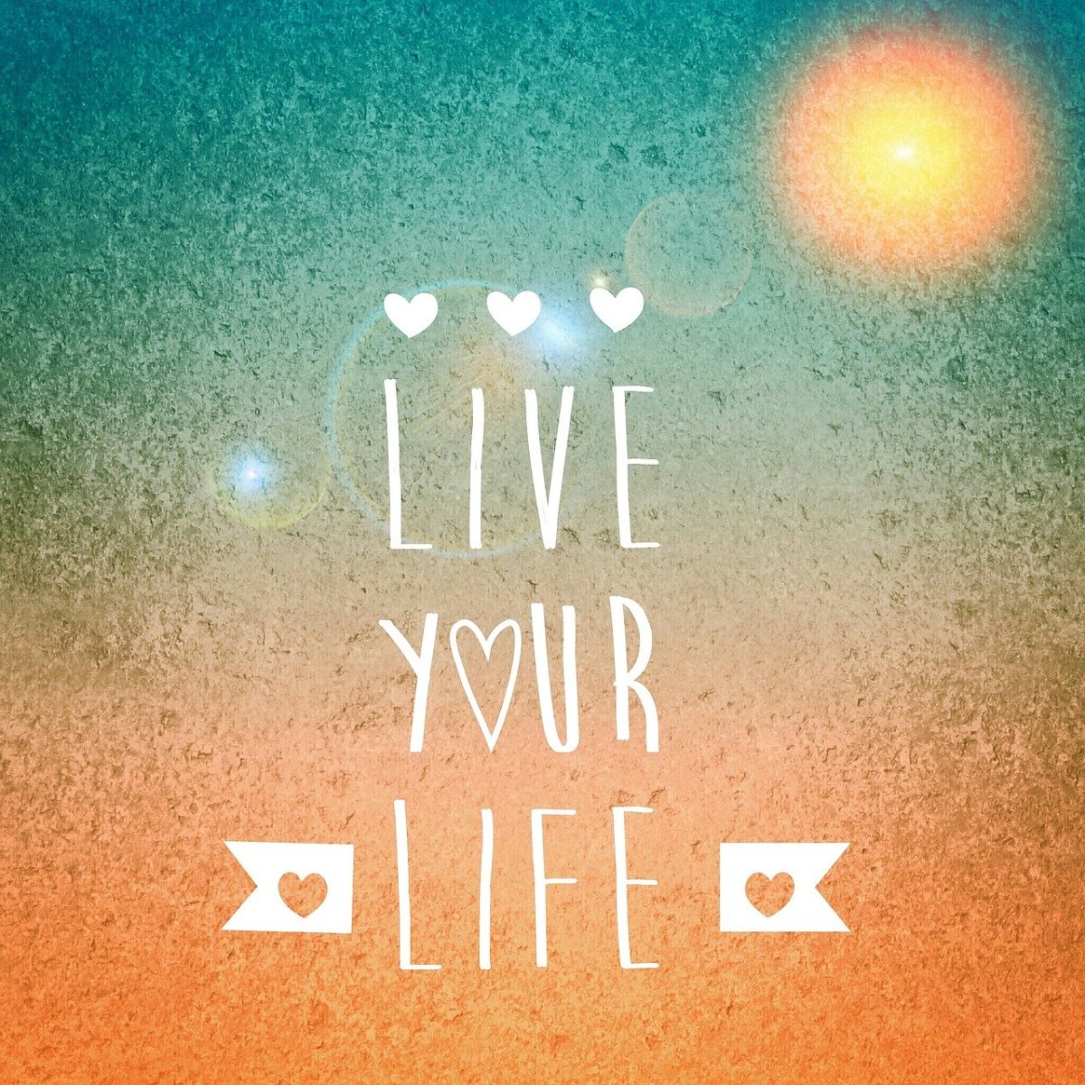 sun, nature, live your life