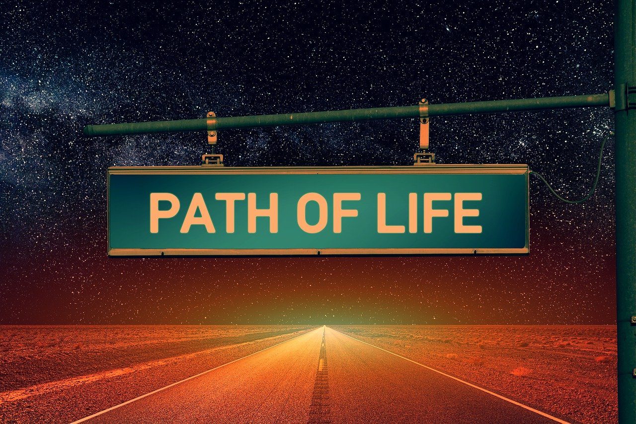 sign, street sign, road, stars, highway, horizon, life, path, direction, orientation, highway, life, life, life, life, life, path
